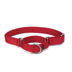 PetSafe Martingale Collar, 1" Red, Large